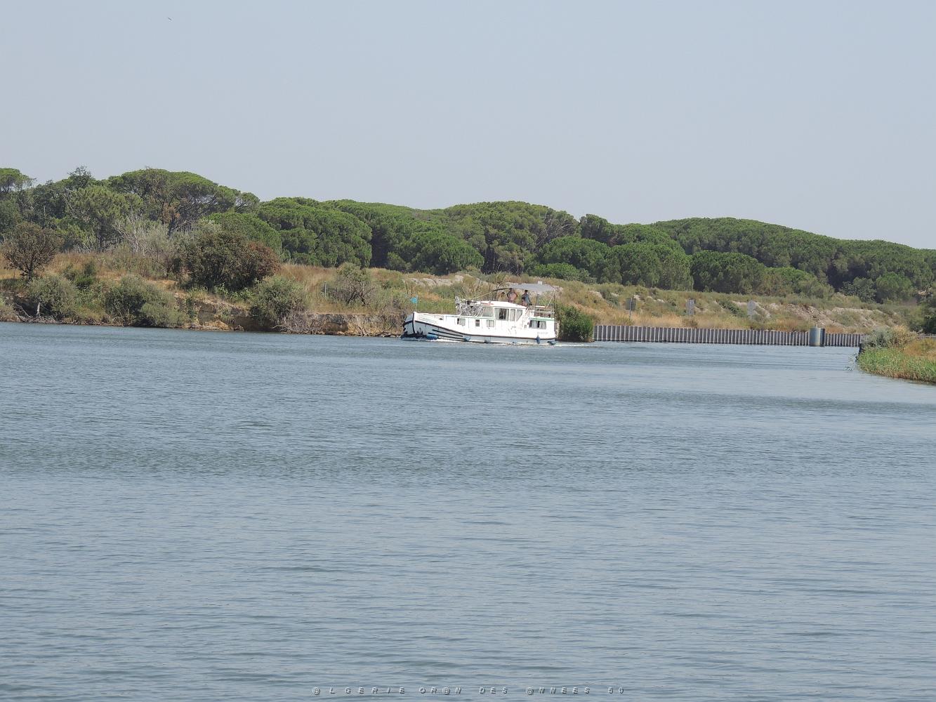 2022 07 UN AIR DE VACANCES 22 AIGUES MORTES (58).JPG -           